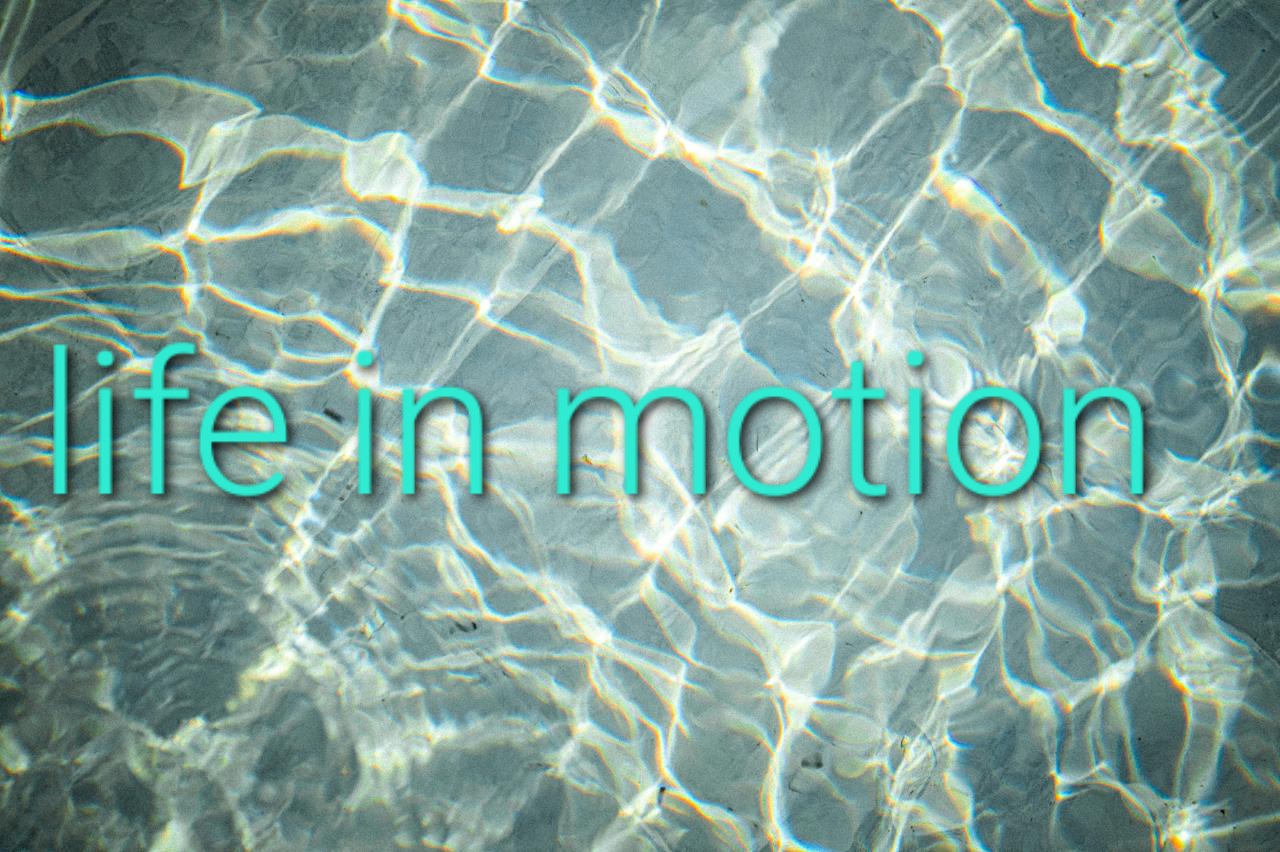 Life in motion - Embodimentpraxis mit Lukas